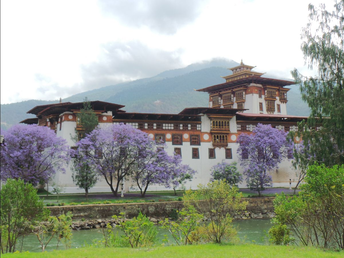 Punakha Dzong18